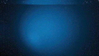 Datei:Koerper und umwelt.gif